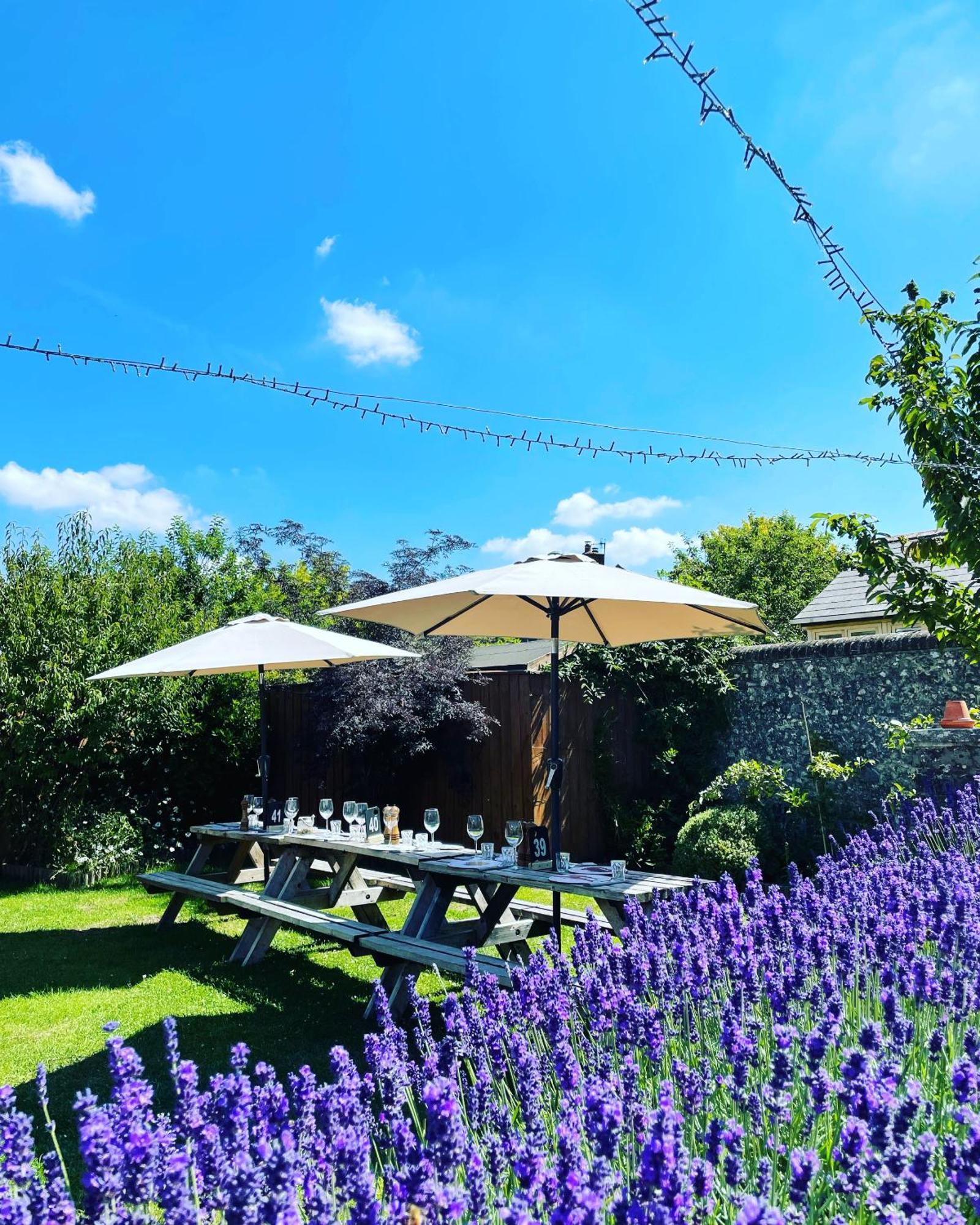 The Greyhound Inn Sydling St Nicholas Εξωτερικό φωτογραφία
